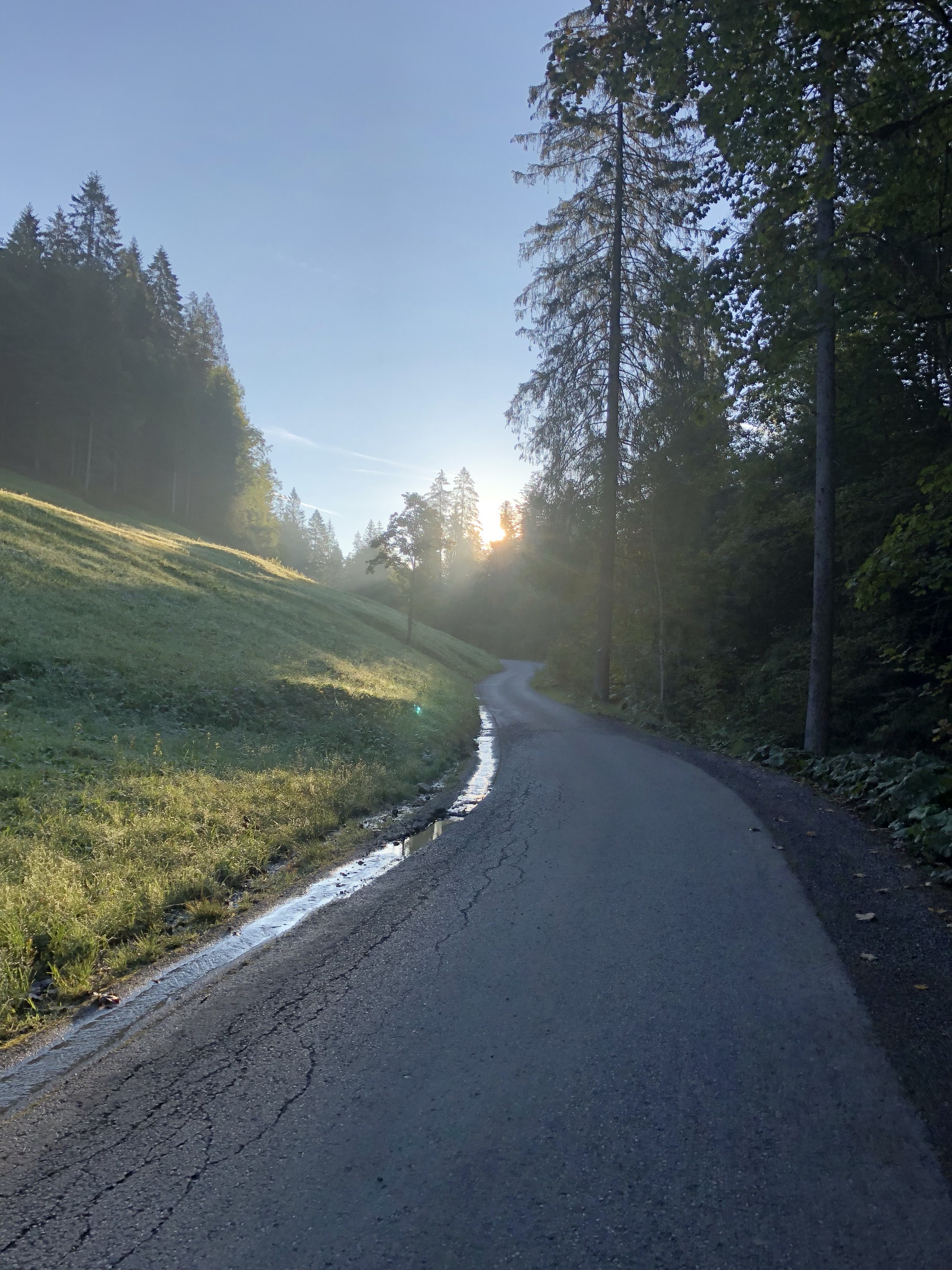 Sonntag Course; Bezau - Ostergunten - Bezau