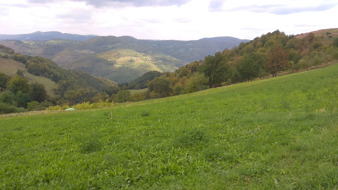 Bratca - Ponoara
