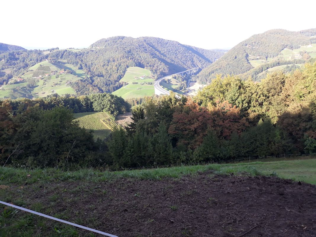 Panoramska MTB tura na Kraberk in Pletovarje