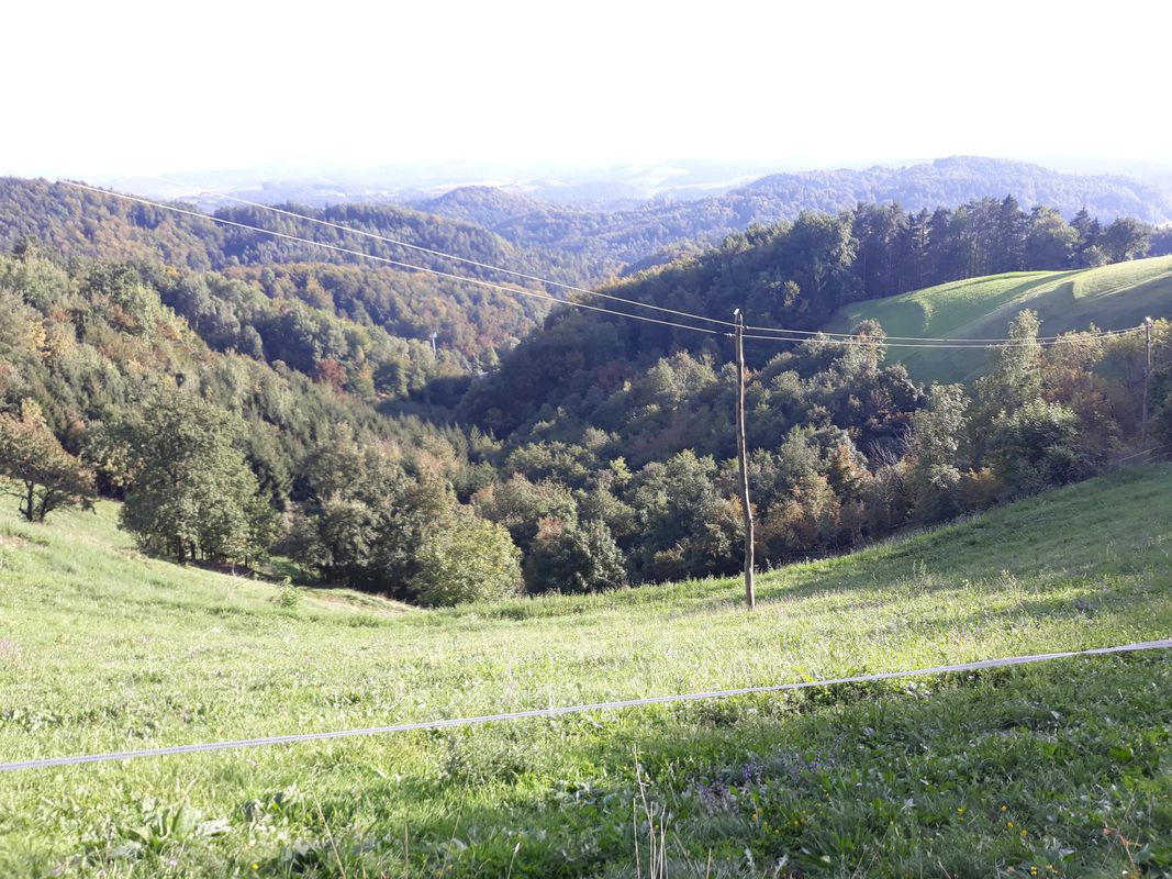 Panoramska MTB tura na Kraberk in Pletovarje