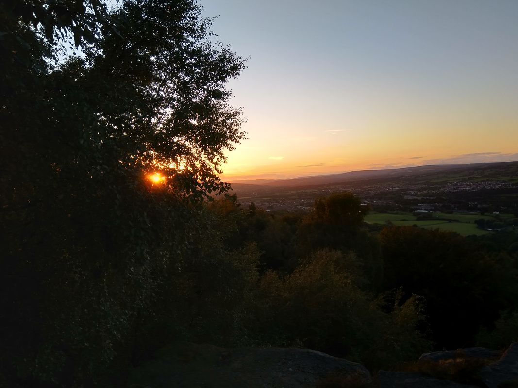 Chevin