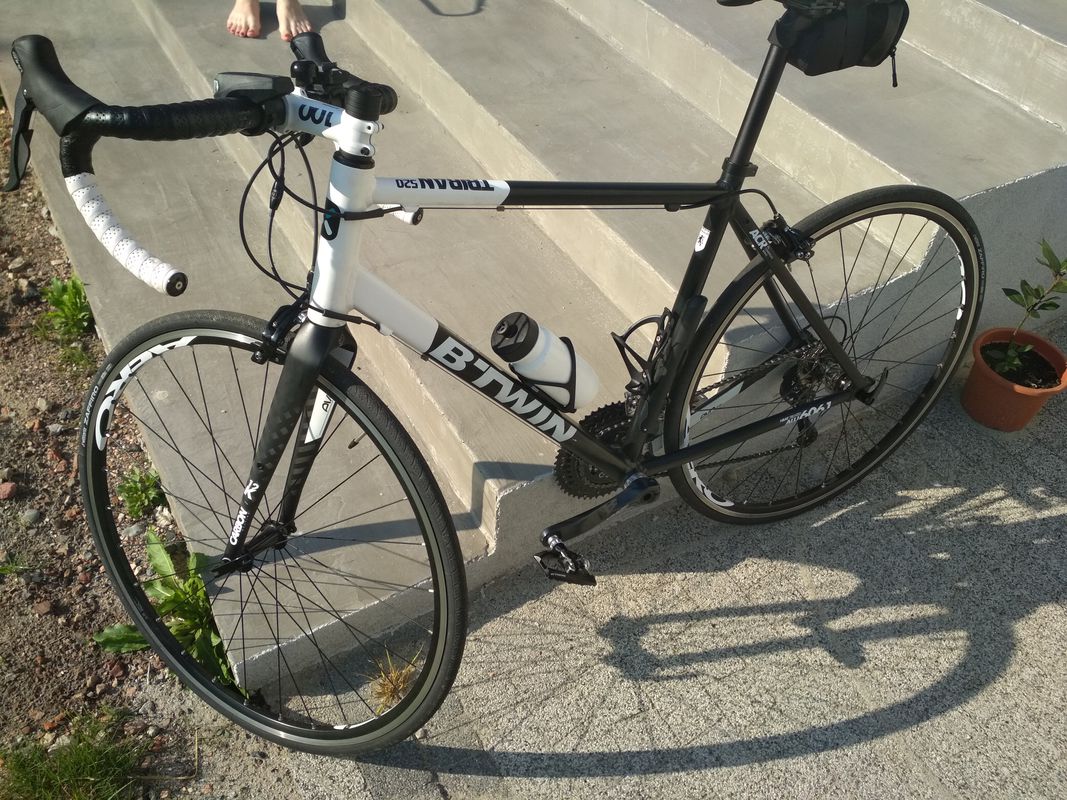 pętla 1