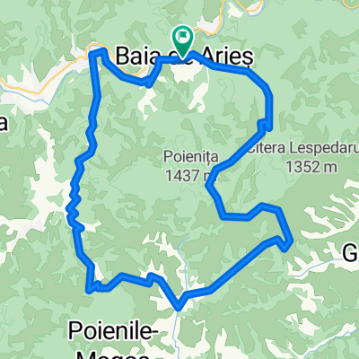 Baia de Aries-Geamana si Gemenele-(aproape) Mogos-Cioara-Baia