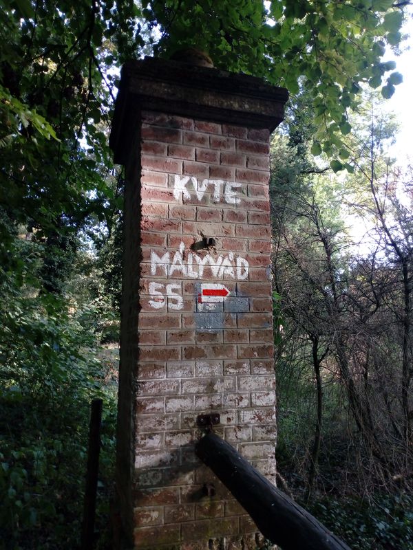Mályvád erdőkerülés