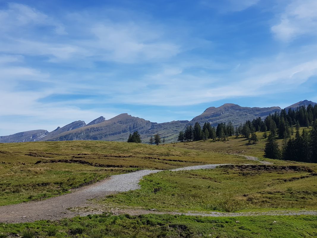Heitersberg - Hasenberg Runde