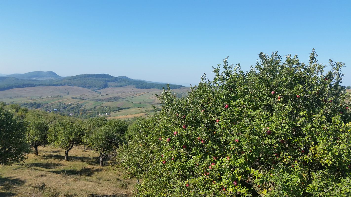Slătinița-Livezile