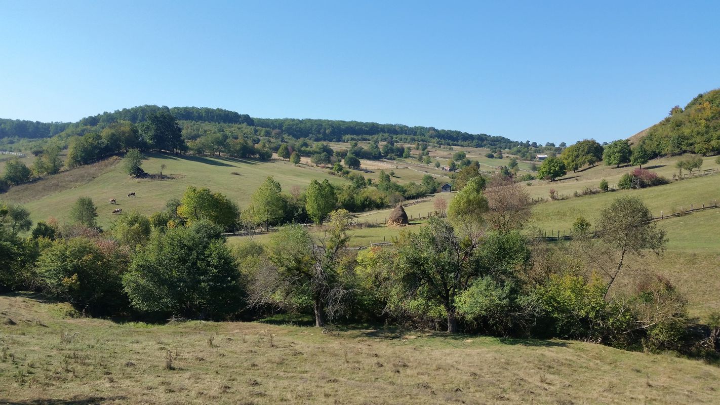 Slătinița-Livezile