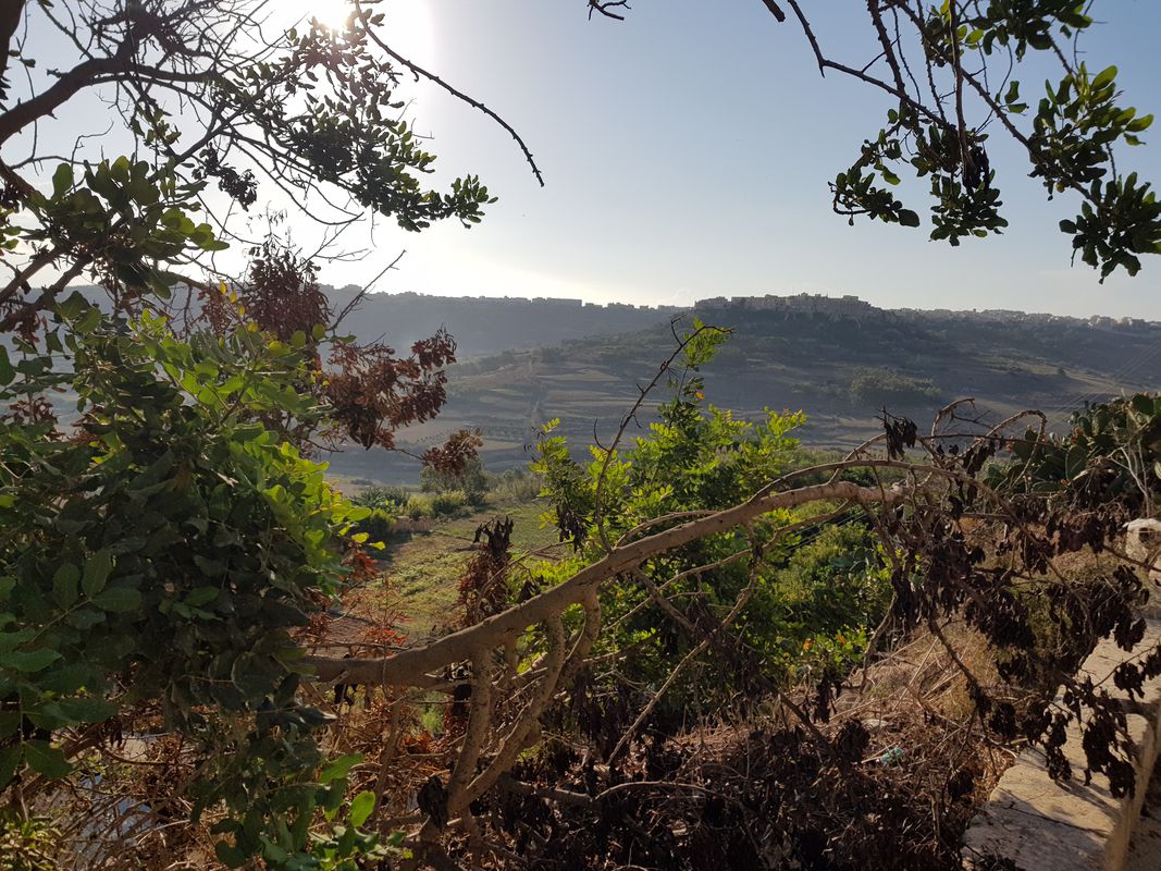 fast gozo
