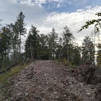 veľké pole nedeľa