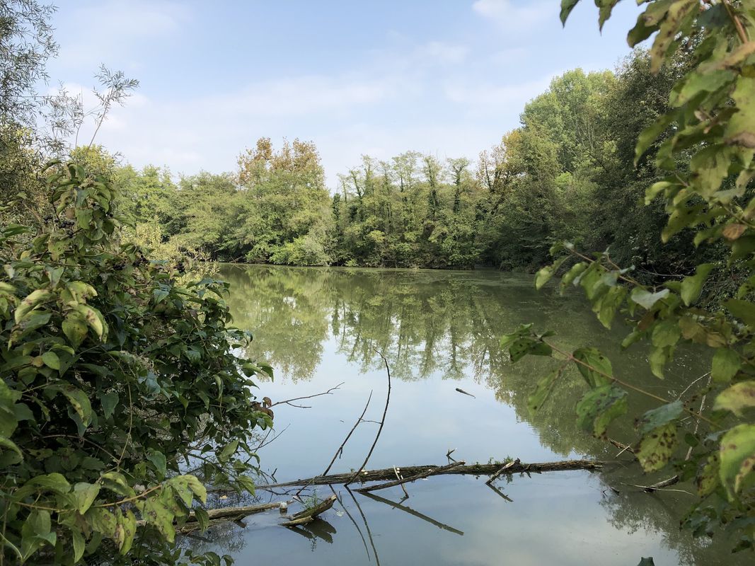 Easy Afternoon Route In Zero Branco