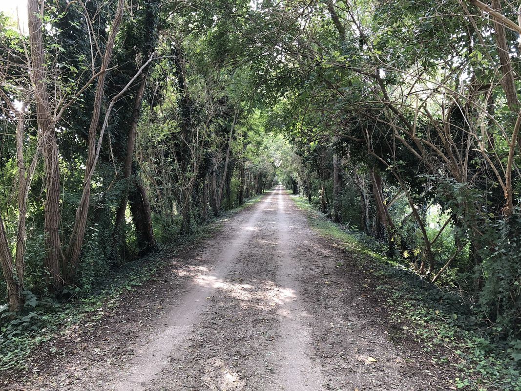 Easy Afternoon Route In Zero Branco