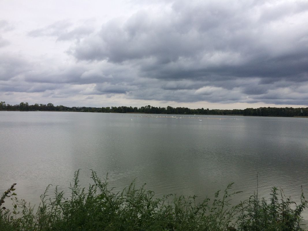 Tour de Niezgoda