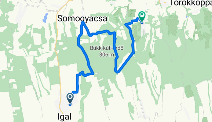 DDP Somogyi Piros 1