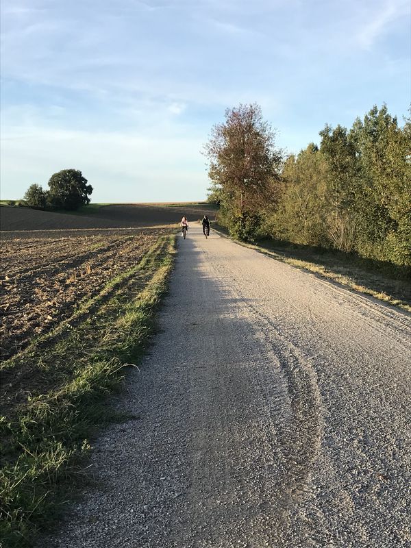 Easy Mittwoch Route In Böheimkirchen