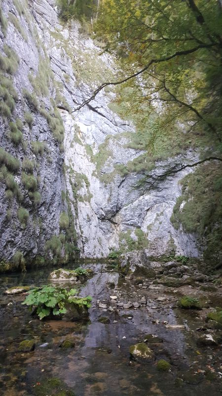 Ghetari - Poiana Calineasa - Casa de Piatra - Izbucul Tauz - Ghetari