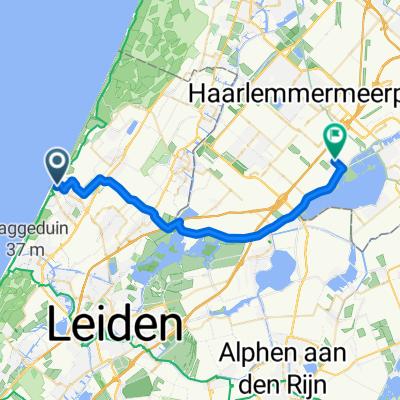 naar de ring