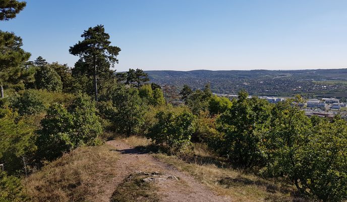 Foto 2 der Bikemap-Route "Budaörs panoráma kör (Andival)" Foto 2 der Bikemap-Route "Budaörs panoráma kör (Andival)"