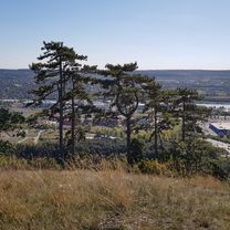 Foto 7 der Bikemap-Route "Budaörs panoráma kör (Andival)" Foto 7 der Bikemap-Route "Budaörs panoráma kör (Andival)"