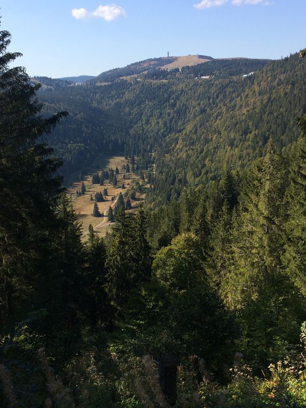 Tiengen-Feldberg und zurück