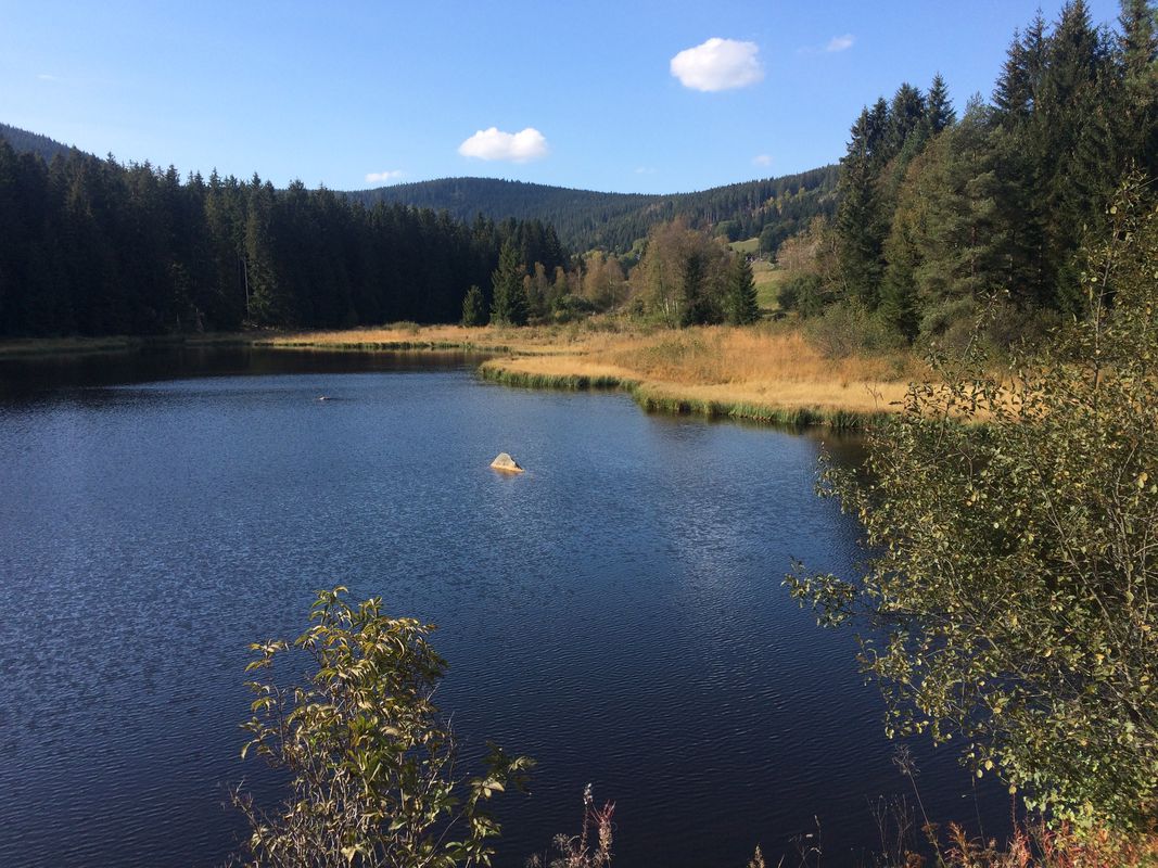 Tiengen-Feldberg und zurück