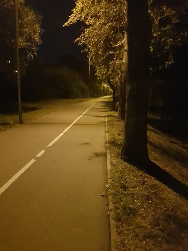 3.brauciens pa 100 gadiem(gulbji)