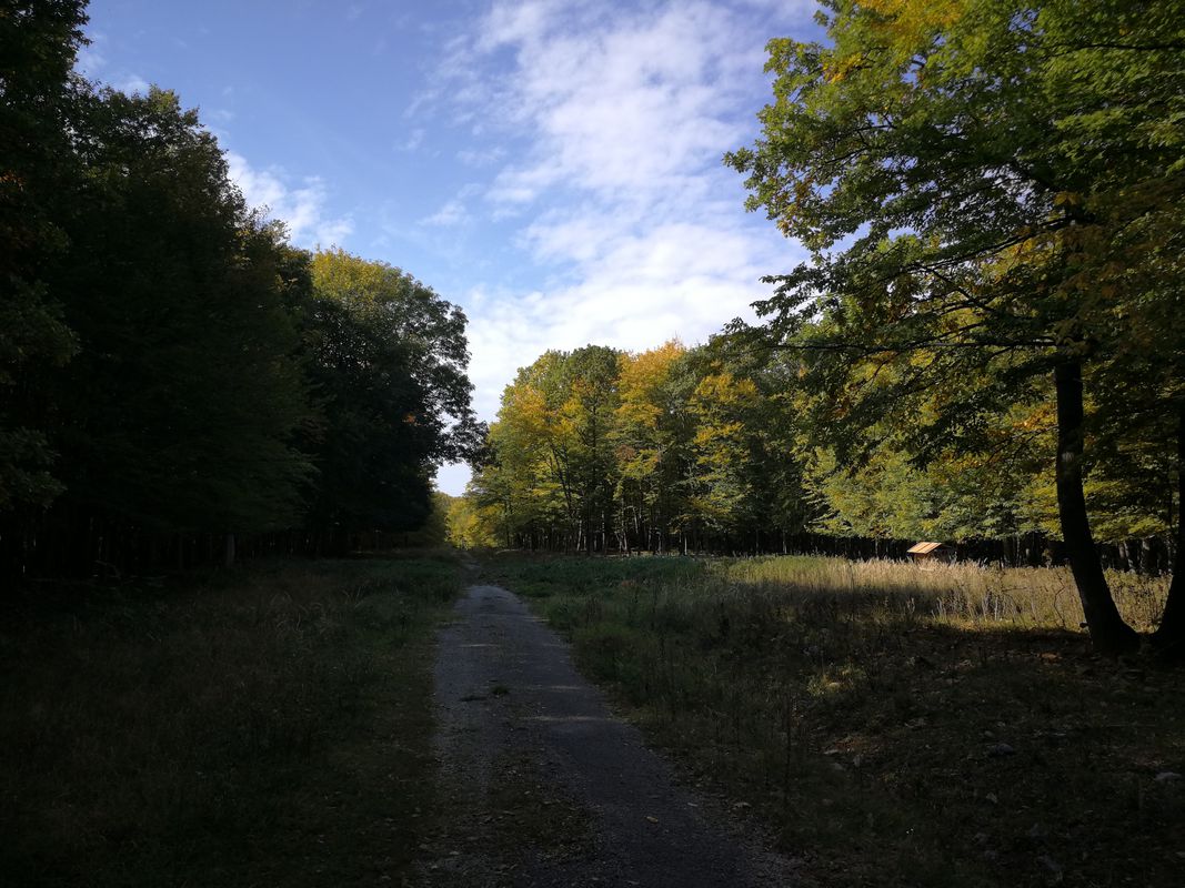 Debraď Železná brána,Drienovec