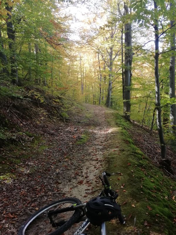 Palayzovo- Balanite-Kostadinite- old off road (fantastic forest)- Lubovo- Gabrovo