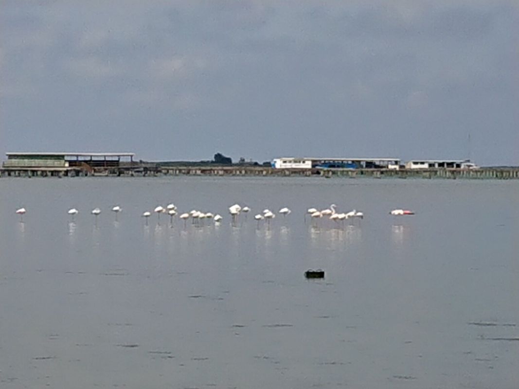 Badia del Fangar - Ebrodelta