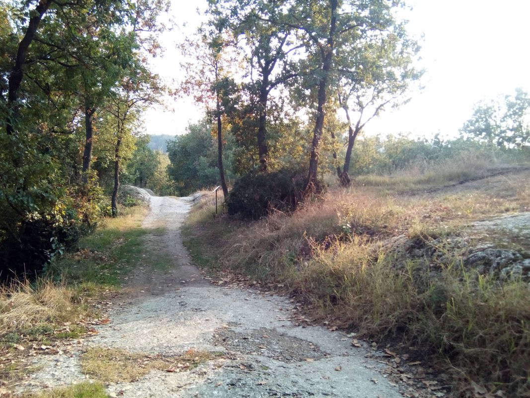 Bologna - Ponticella - Madonna dei Boschi - Parco dell'Abadessa - Bologna