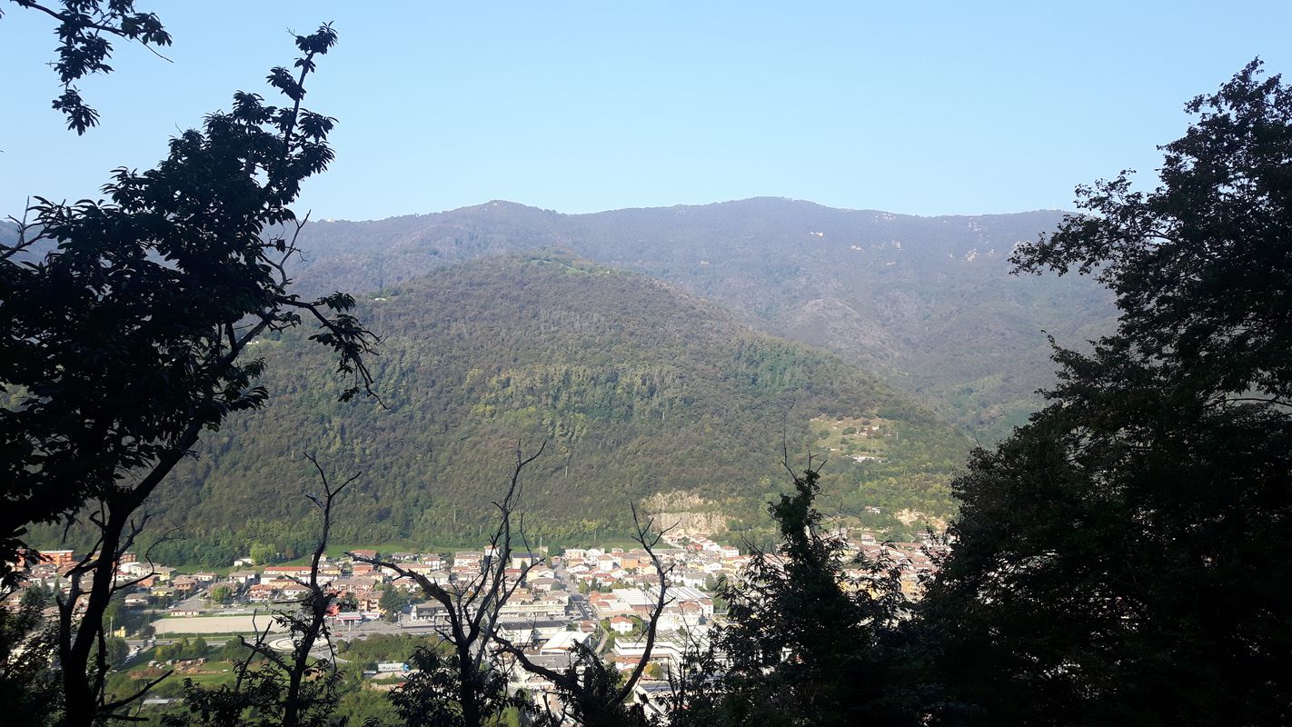 Zignone