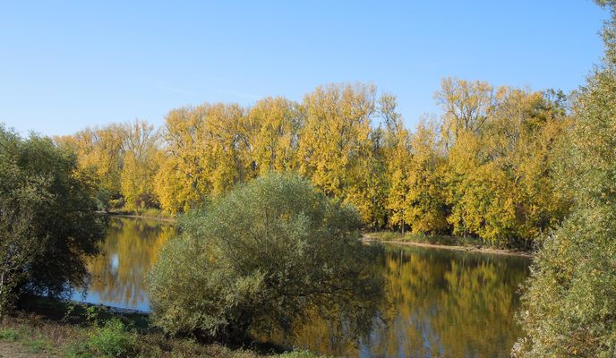 Photo 2 of the Bikemap route "Radtour Biedesand"