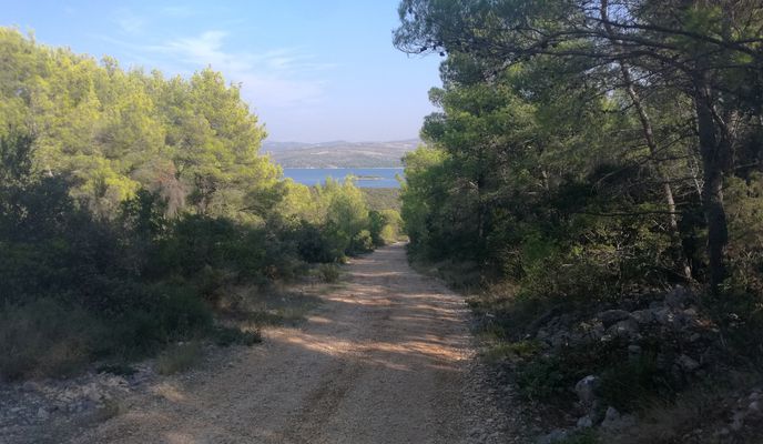 Foto 1 der Bikemap-Route "solta mtb tour: stomorska - punta solte"