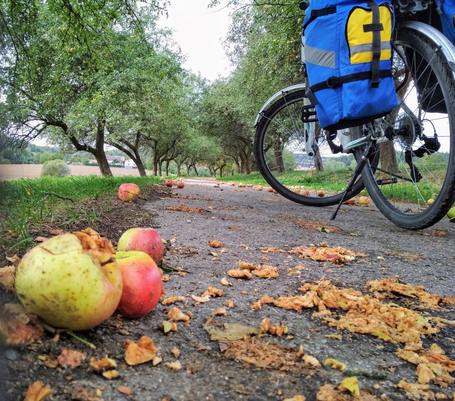 9 days in South Czhechia