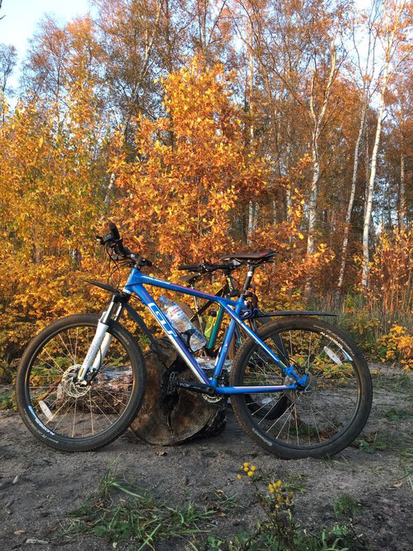 Slow Sunday Route In Saint Petersburg