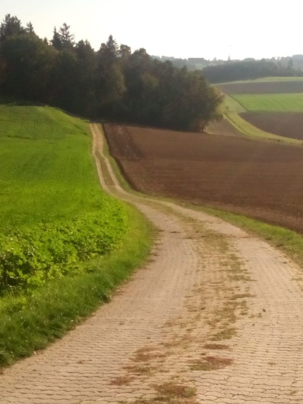 Kapellentour um Obertrennbach
