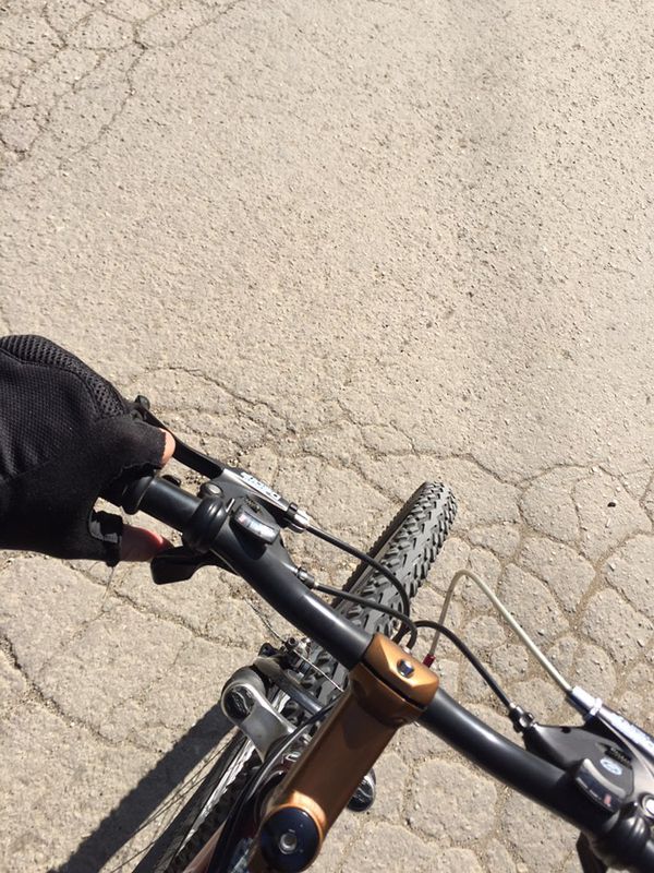 Steady Afternoon Route In Varna