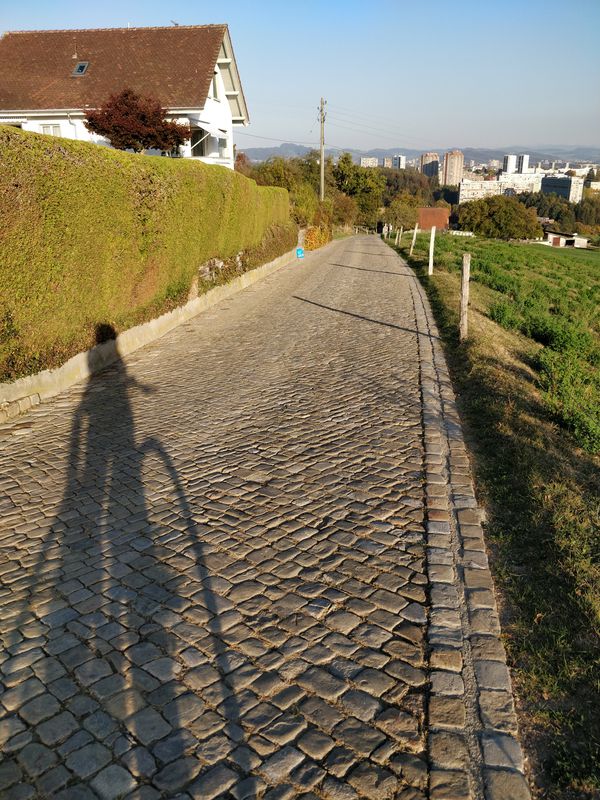 Zollikofen - Wohlen - Zollikofen