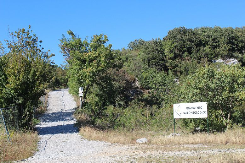12 - ITINERARIO ALLA SCOPERTA DEL CARSO/ NATURROUTE ZUR ERKUNDUNG DES KARSTES/ NATURALISTIC ROUTE TO DISCOVER THE REGION OF KARST