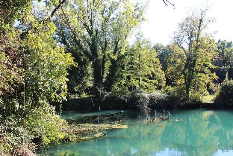 12 - ITINERARIO ALLA SCOPERTA DEL CARSO/ NATURROUTE ZUR ERKUNDUNG DES KARSTES/ NATURALISTIC ROUTE TO DISCOVER THE REGION OF KARST