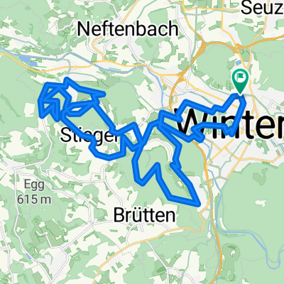 Schlaufen-Marathon