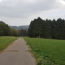 Frei nach Schnauze II