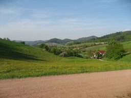 Hebe Bild 2 entlang der Bikemap-Route "Freiburg - Gundelfingen - Denzlingen - Buchholz - Batzenhäusle - Waldkirch - Kollnau - Gutach - Niederwinden - Bleibach - Siensbach - Waldkirch - Heuweiler - Wi" hervor