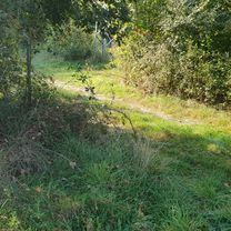 Photo 8 of the Bikemap route "Vodnjan - Šarići"