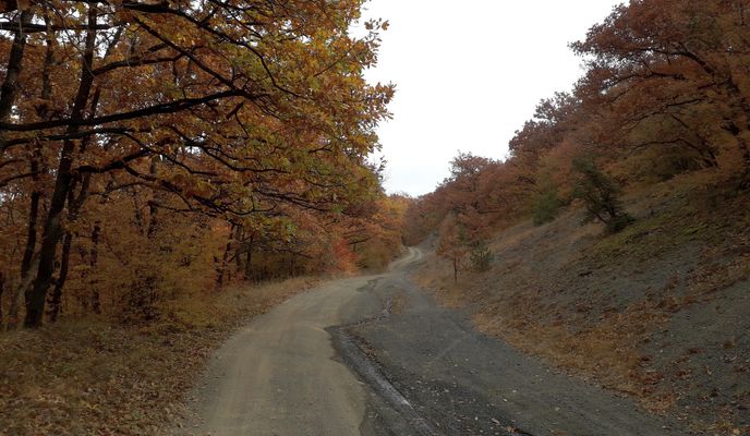 Foto 2 de la ruta de Bikemap "Локорско - х. Стрелец - Кремиковци"