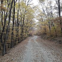 Локорско - х. Стрелец - Кремиковци