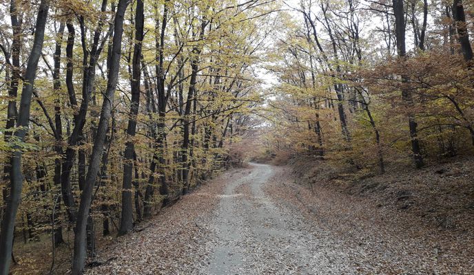 Foto 1 de la ruta de Bikemap "Локорско - х. Стрелец - Кремиковци"