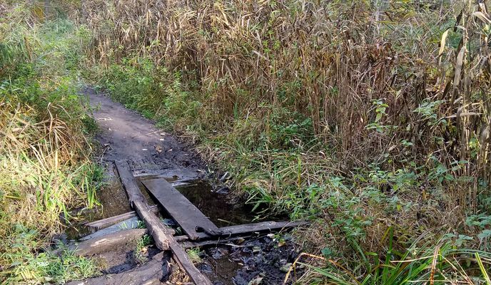 Photo 1 of the Bikemap route "ПущаВодица" Photo 1 of the Bikemap route "ПущаВодица"