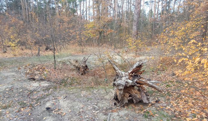 Photo 2 of the Bikemap route "ПущаВодица" Photo 2 of the Bikemap route "ПущаВодица"