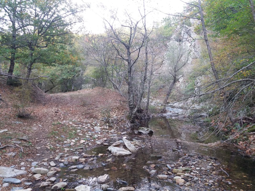 Payamdere