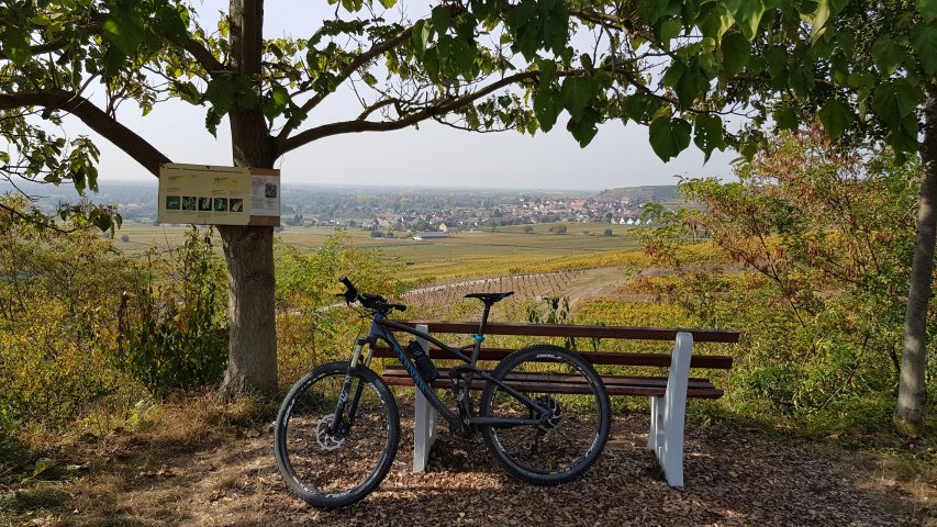 Quer durch die Weinberge und den Auwald
